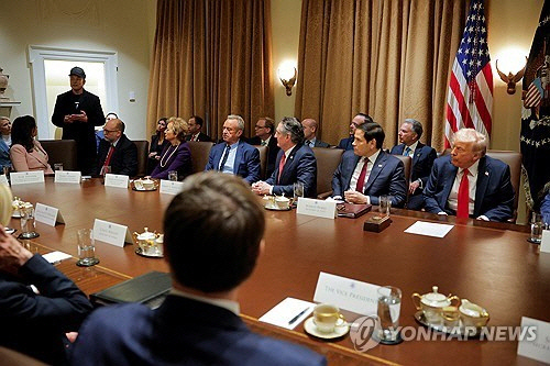 각료회의 참석한 머스크 [워싱턴 로이터=연합뉴스]